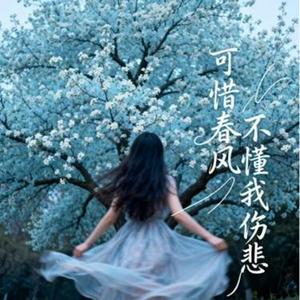 可惜春风不懂我伤悲  (Remix)