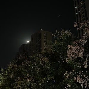 冰糖火炉（cover.JinX周）（翻自 Jinx周）