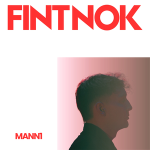 Fint nok
