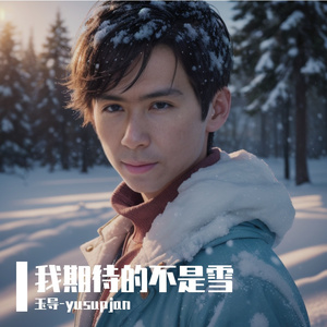 我期待的不是雪