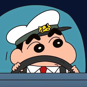 风吹丹顶鹤（抖音片段）