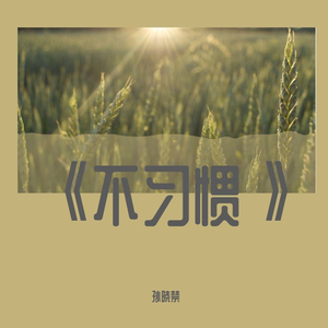 Various Artists-不习惯(Remix)