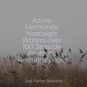 Silent Solace's Sweet Siren