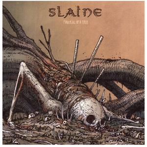 In Suffering Veritas