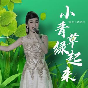 小青草绿起来 (伴奏)
