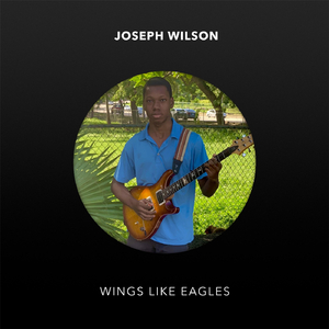 Wings Like Eagles