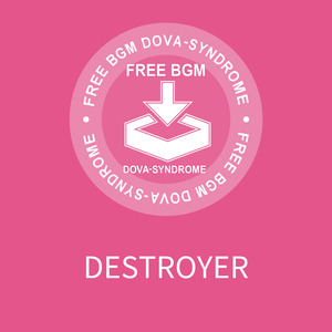 DESTROYER