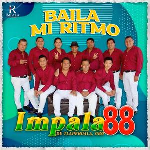 Corrido a Rafa Brito