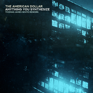 Anything You Synthesize (Thomas James White Rework)