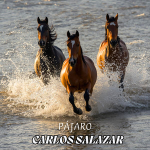 Enalteciendo Coleadores