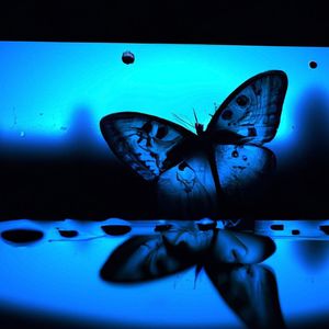 雨说 Rain Whispers