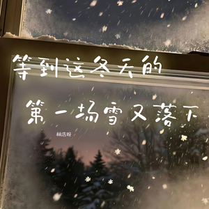 等到这冬天的第一场雪又落下
