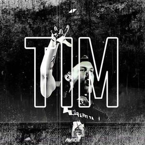 Fade Into Someone Like You (Avicii Remix)