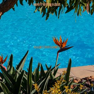 办公事务庄严的爵士