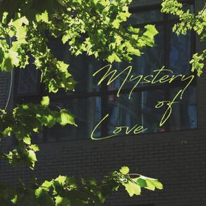 Mystery of Love (Acoustic)