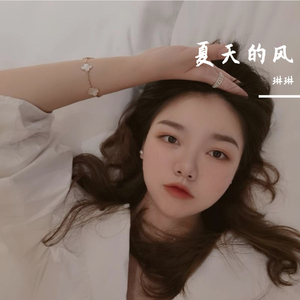 夏天的风 - 琳琳