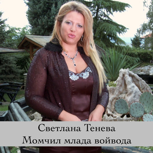 Момчил млада войвода