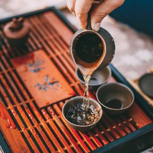 禅意境七 (古琴鸟声水流)