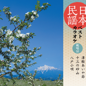 十三の砂山 〈オリジナル・カラオケ〉 (一尺九寸・5本)