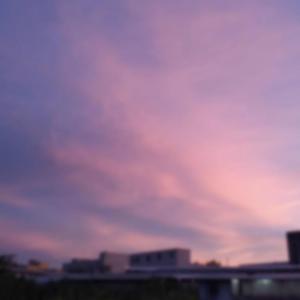 不在意了（Prod by RedRumMusic）