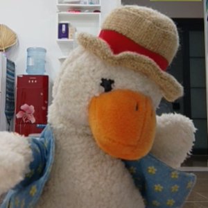 我想要一朵小红花（电音）