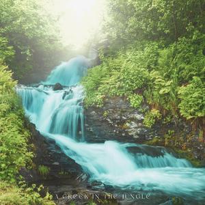 A Creek In The Jungle