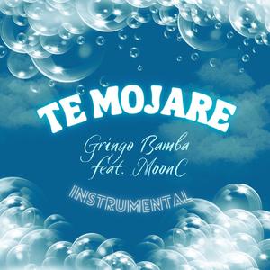 Te Mojare (Instrumental Version)
