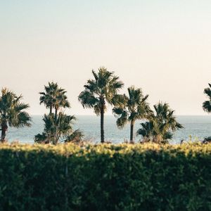 向往你们的青春