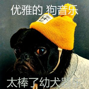 温和训练你的狗梦想