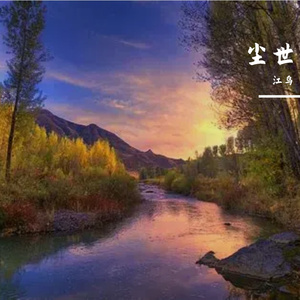 林间竖琴与小提琴的梦幻低语