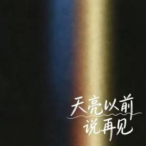 天亮以前说再见