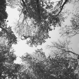 温和周日的早午餐梦想