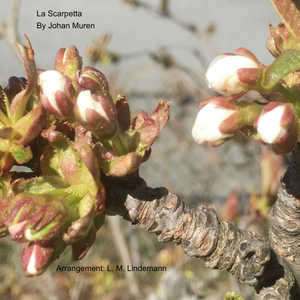 La Scarpetta