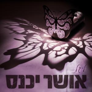 אושר יכנס