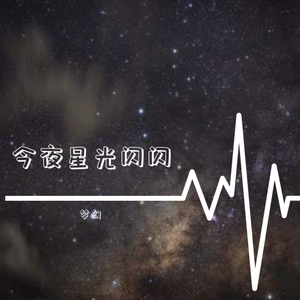 今夜星光闪闪（翻自 语音表哥）
