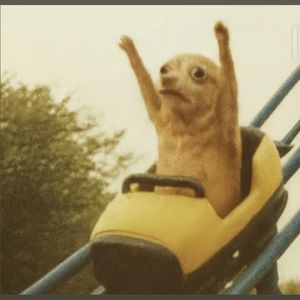 电视台的晚风和你