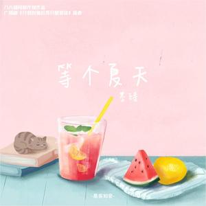 等个夏天（广播剧《分到对象后我只想退货》插曲）