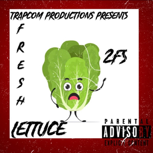 Fresh Lettuce