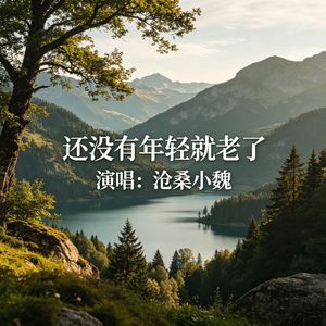 还没有年轻就老了