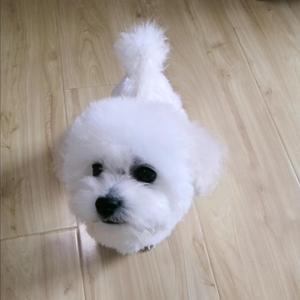 别错过（原唱）