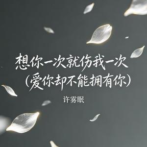 想你一次就伤我一次（爱你却不能拥有你）