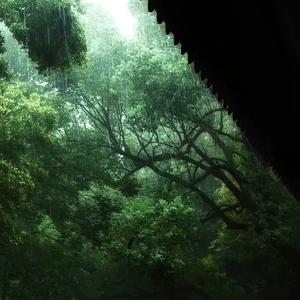 我这等人真的能成大业吗