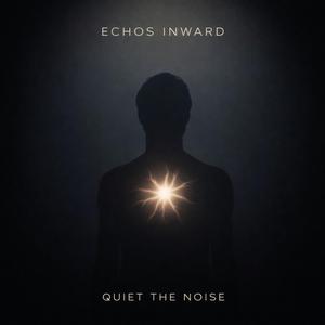 Quiet The Noise