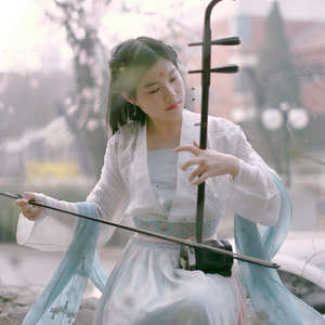 宋冬野 - 莉莉安(二胡版)