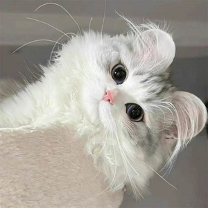 思念到极致是什么感觉