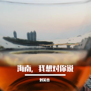 海南，我想对你说-刘英杰