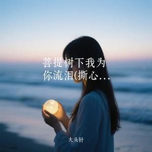 菩提树下我为你流泪 (大头针 Remix)