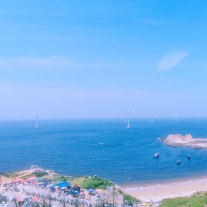 不闻不问不纠缠