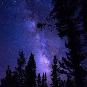 星之所在 口琴（翻自 Falcom Sound Team jdk）