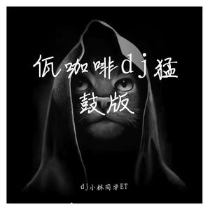 王云宏-dj佤咖啡（dj小林同学ET remix）